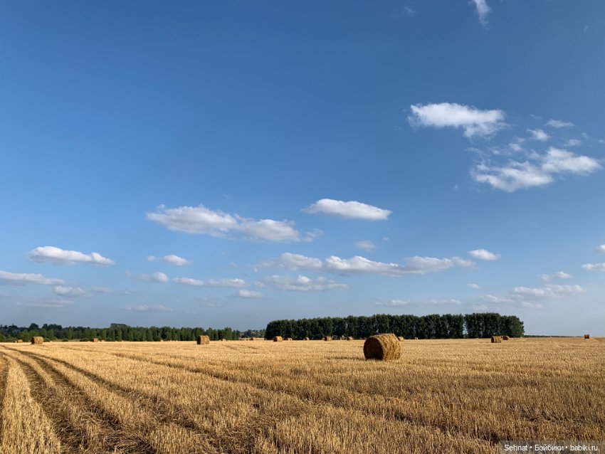 Скучаем по солнышку ☀️ — Куклы Helen Kish (Хелен Киш): Riley (Райли) (фото 6)