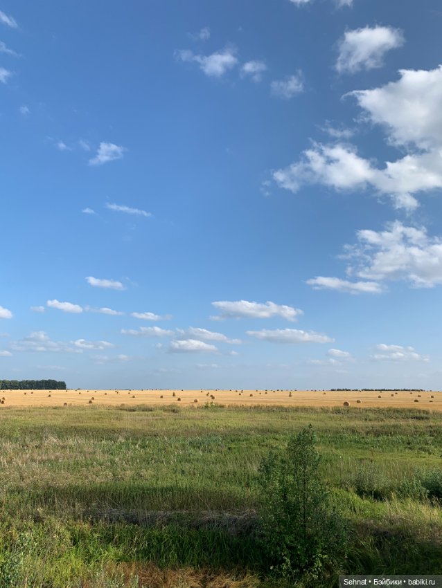 Скучаем по солнышку ☀️ — Куклы Helen Kish (Хелен Киш): Riley (Райли)