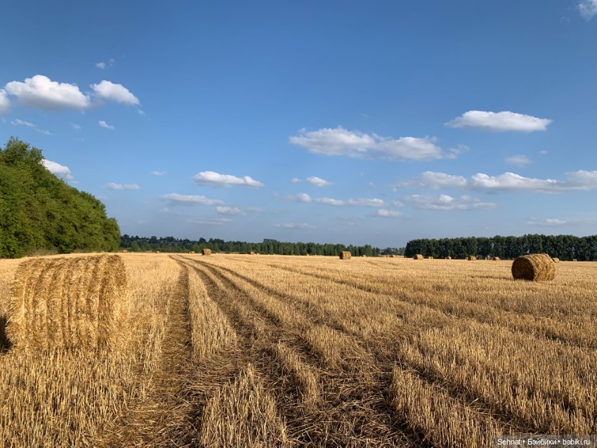 Скучаем по солнышку ☀️ — Куклы Helen Kish (Хелен Киш): Riley (Райли) (фото 5)