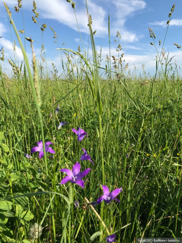 Плюшечки и лето. Лили и Изабелла от Heidi Plusczok