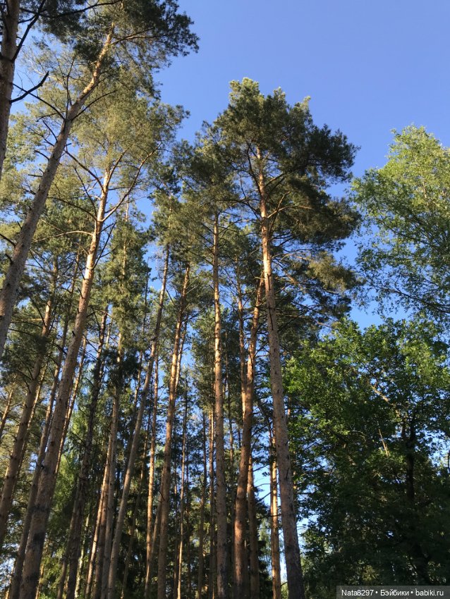 Плюшечки и лето. Лили и Изабелла от Heidi Plusczok