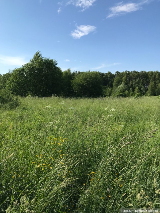 Плюшечки и лето. Лили и Изабелла от Heidi Plusczok (фото 10)