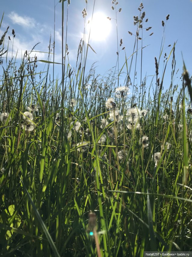 Плюшечки и лето. Лили и Изабелла от Heidi Plusczok