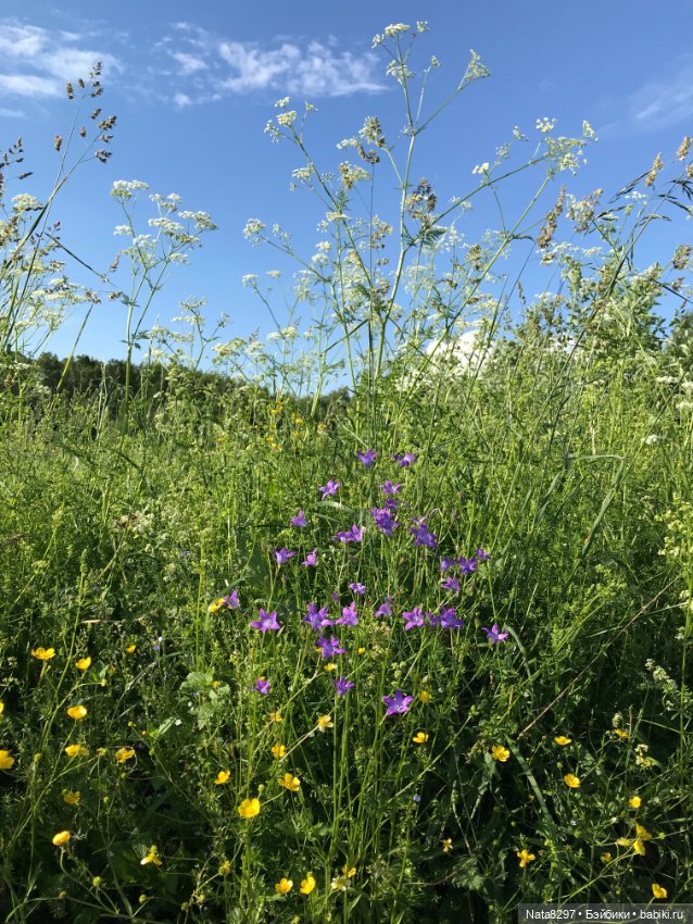 Плюшечки и лето. Лили и Изабелла от Heidi Plusczok (фото 8)