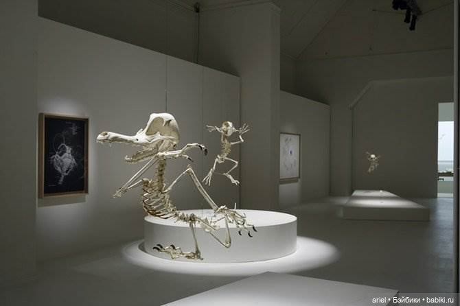 Скелеты мультяшек от корейского скульптора Hyungkoo Lee