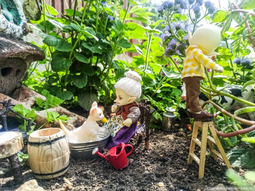 Мытье кота. Realpuki. 133 (фото 4)