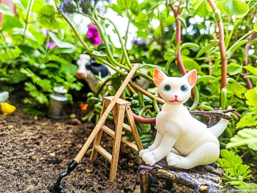 Мытье кота. Realpuki. 133