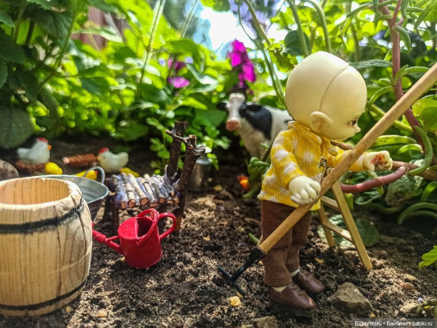 Мытье кота. Realpuki. 133