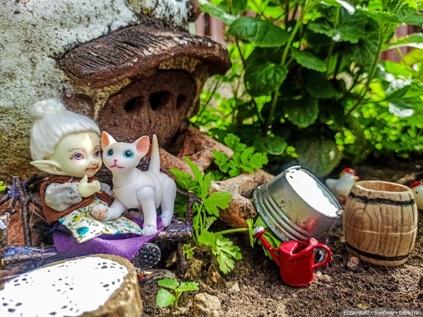 Мытье кота. Realpuki. 133