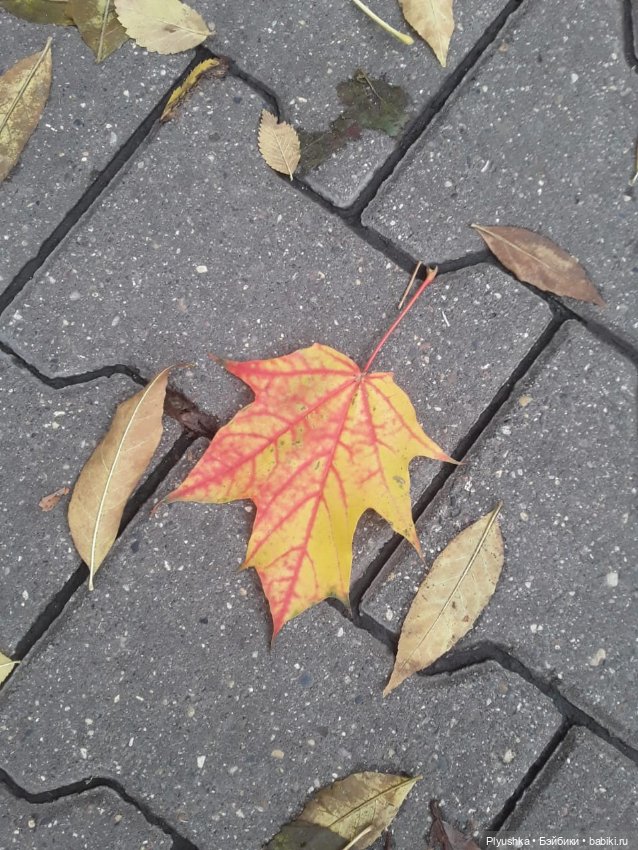 Осень Коллет — Фэшн (фото 7)