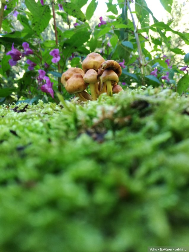 Отпуск в Шварцвальде — Куклы Gabriele Muller (Габриэле Мюллер): немецкий фарфор