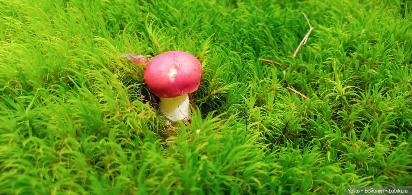 Отпуск в Шварцвальде — Куклы Gabriele Muller (Габриэле Мюллер): немецкий фарфор