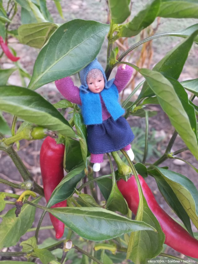 Аля с Элей на прогулке — Куклы Минимир (Minimir): Пупсы 7 и 11 см