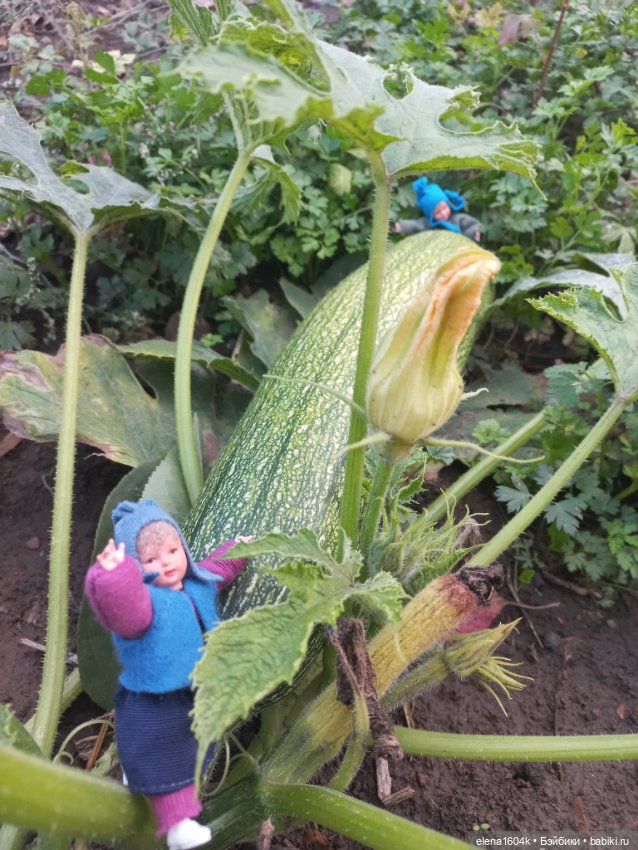 Аля с Элей на прогулке — Куклы Минимир (Minimir): Пупсы 7 и 11 см (фото 8)