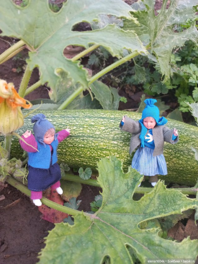 Аля с Элей на прогулке — Куклы Минимир (Minimir): Пупсы 7 и 11 см