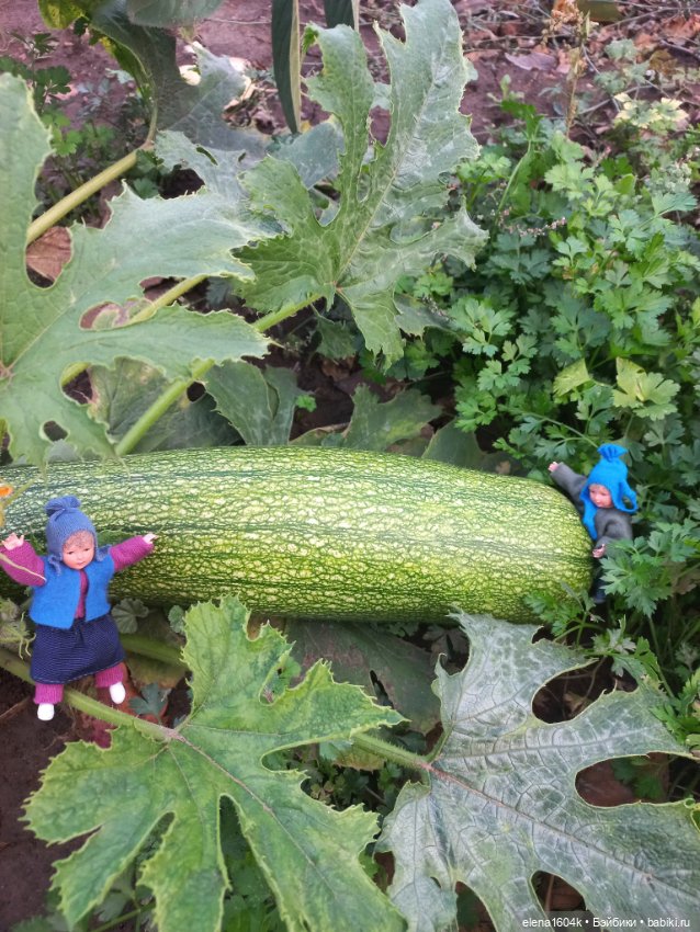 Аля с Элей на прогулке — Куклы Минимир (Minimir): Пупсы 7 и 11 см (фото 10)