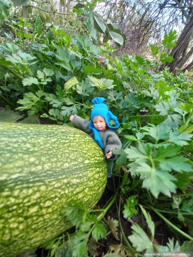 Аля с Элей на прогулке — Куклы Минимир (Minimir): Пупсы 7 и 11 см (фото 7)