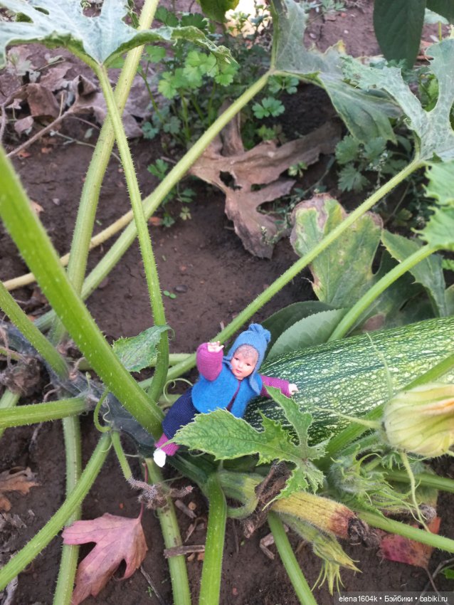 Аля с Элей на прогулке — Куклы Минимир (Minimir): Пупсы 7 и 11 см (фото 9)