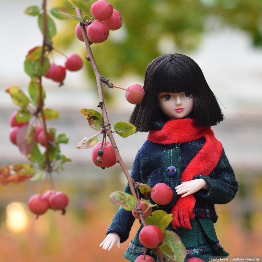 Лидия и оттенки сентября — Игровые куклы разных производителей (Разное): редкие бренды (фото 5)