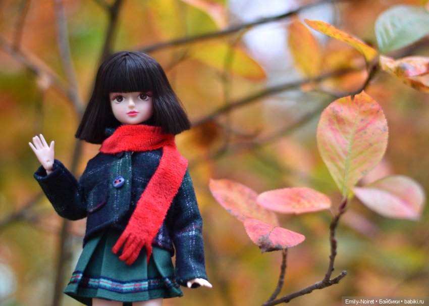 Лидия и оттенки сентября — Игровые куклы разных производителей (Разное): редкие бренды (фото 3)