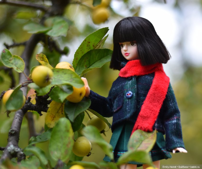 Лидия и оттенки сентября — Игровые куклы разных производителей (Разное): редкие бренды (фото 4)