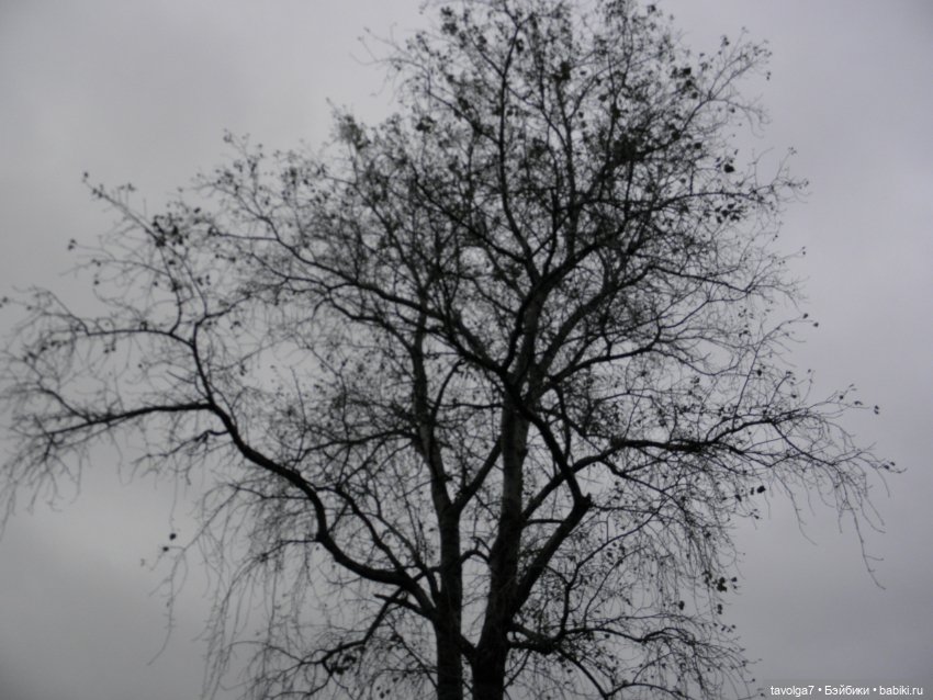 Десант на Мабон — Игровые куклы разных производителей (Разное): редкие бренды