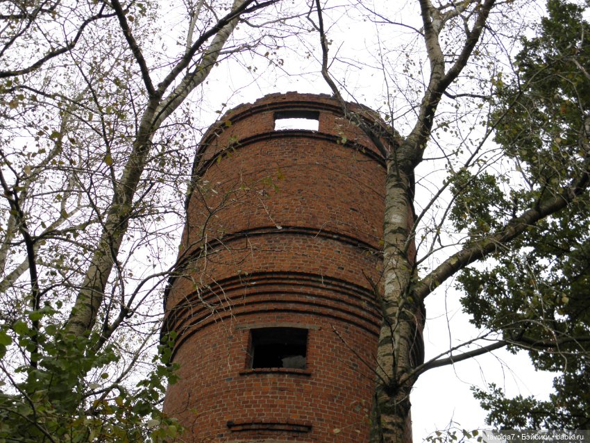 Десант на Мабон — Игровые куклы разных производителей (Разное): редкие бренды