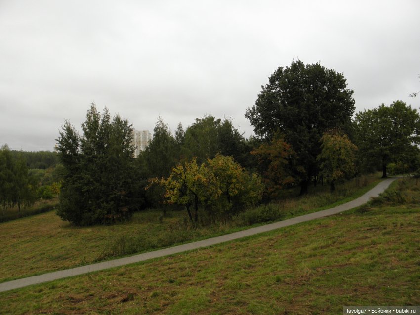 Десант на Мабон — Игровые куклы разных производителей (Разное): редкие бренды