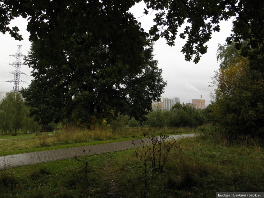 Десант на Мабон — Игровые куклы разных производителей (Разное): редкие бренды (фото 9)