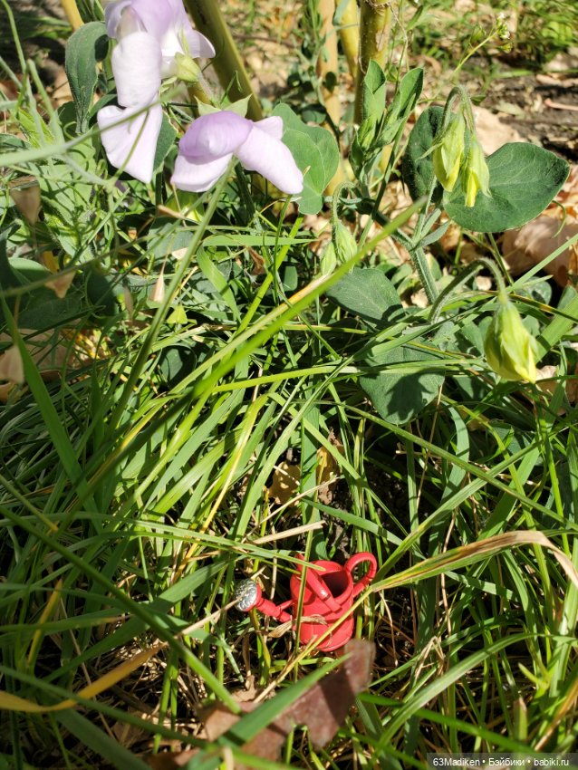 Мышиный горошек — Игровые куклы разных производителей (Разное): редкие бренды (фото 3)