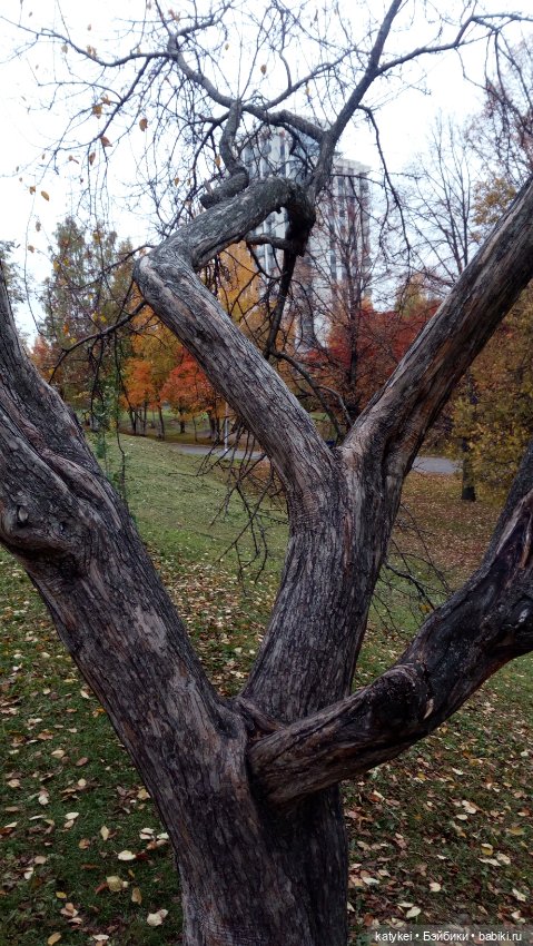 Стич (девочка) — Коллекционные игрушки и фигурки: Lego