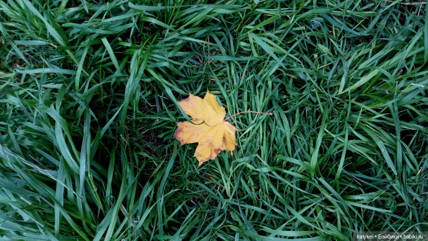 Стич (девочка) — Коллекционные игрушки и фигурки: Lego