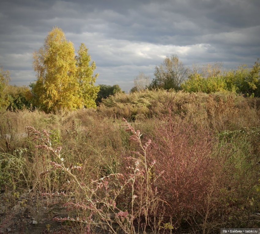 Север и Юг. Осень в Милтоне