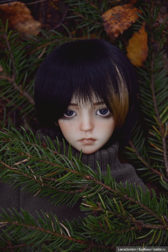Арион в лесу — Гибридизация кукол BJD (БЖД): пересадка головы (фото 7)