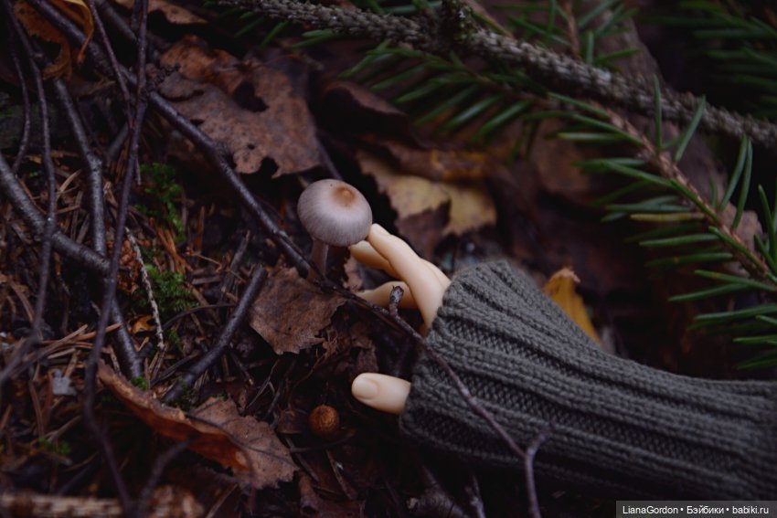 Арион в лесу — Гибридизация кукол BJD (БЖД): пересадка головы (фото 2)