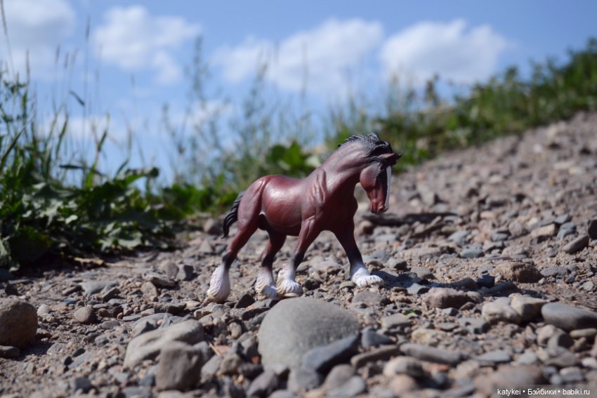 Бег иноходца (постконкурс) (фото 3)