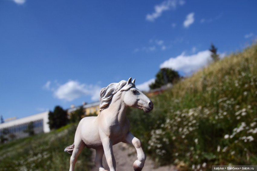 Бег иноходца (постконкурс) (фото 6)