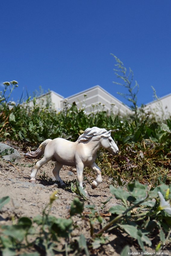 Бег иноходца (постконкурс)