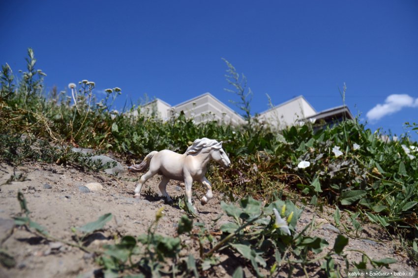 Бег иноходца (постконкурс) (фото 5)