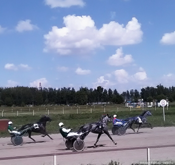 Бег иноходца (постконкурс)