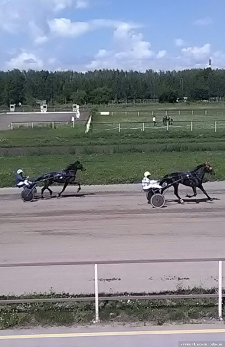 Бег иноходца (постконкурс) (фото 10)