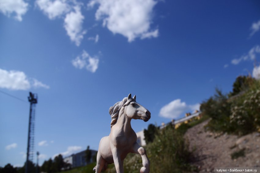 Бег иноходца (постконкурс) (фото 8)