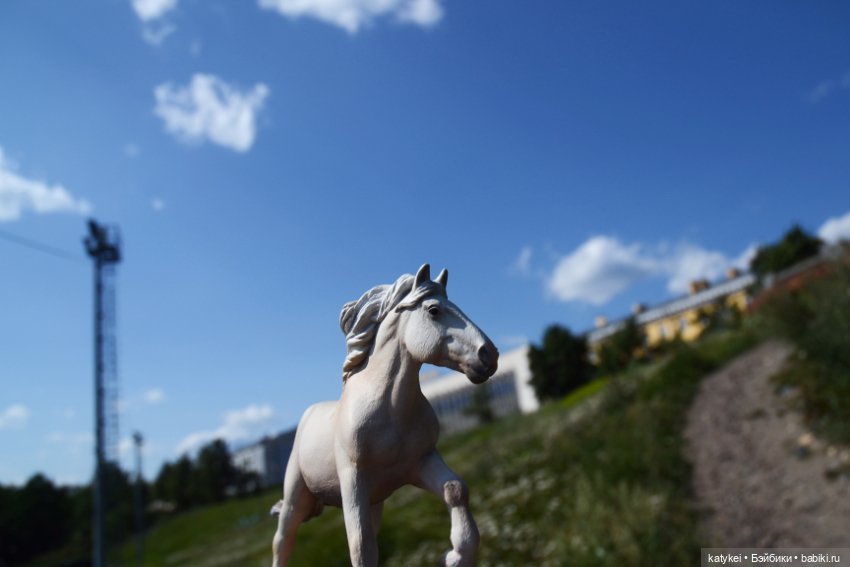 Бег иноходца (постконкурс) (фото 7)