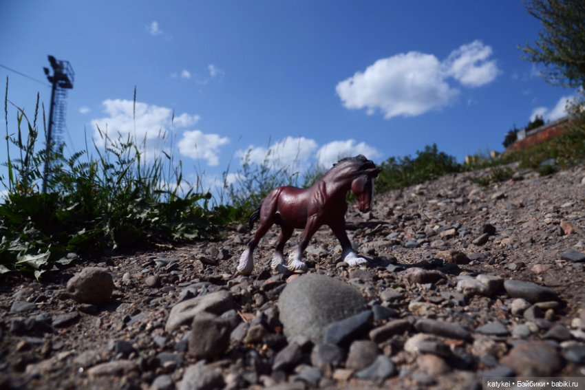 Бег иноходца (постконкурс) (фото 2)