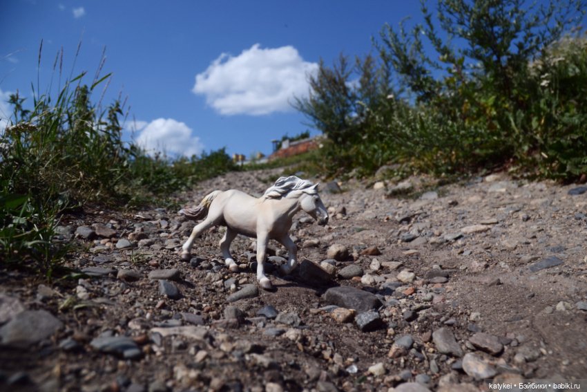 Бег иноходца (постконкурс) (фото 4)