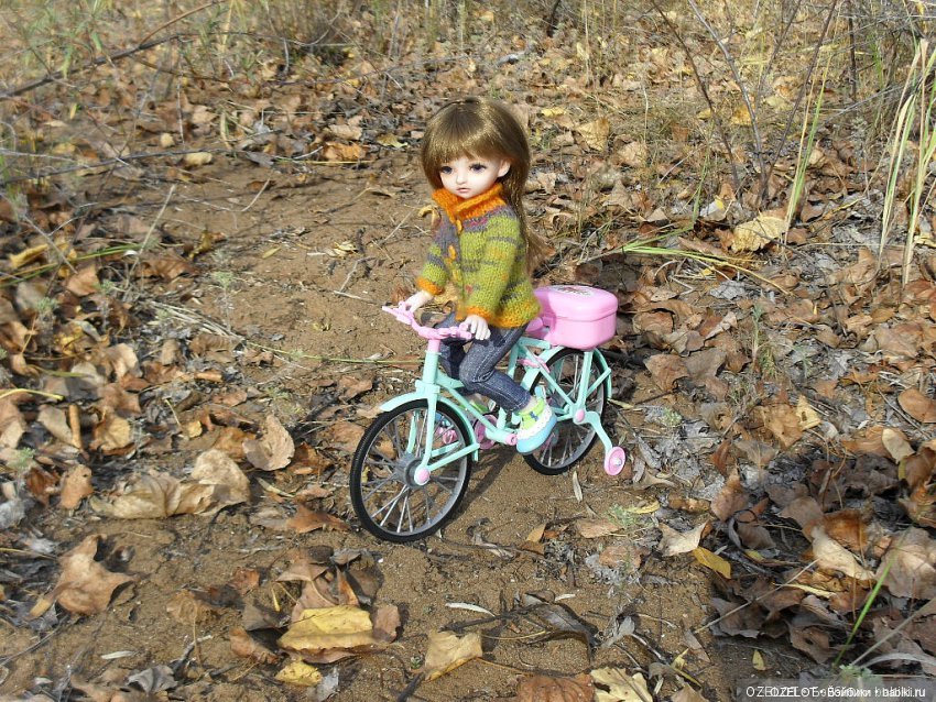 Кручу, кручу, кручу педали кручу... (постконкурсное) (фото 2)