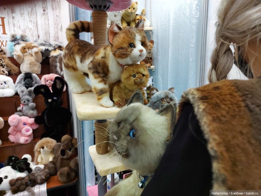 Fashion Dolls 263 — Куклы Звезды подиума (Angel Collection): шарнирные (фото 4)