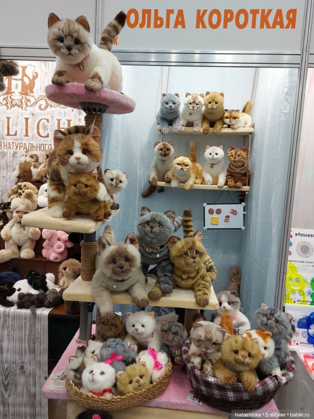 Fashion Dolls 263 — Куклы Звезды подиума (Angel Collection): шарнирные (фото 5)