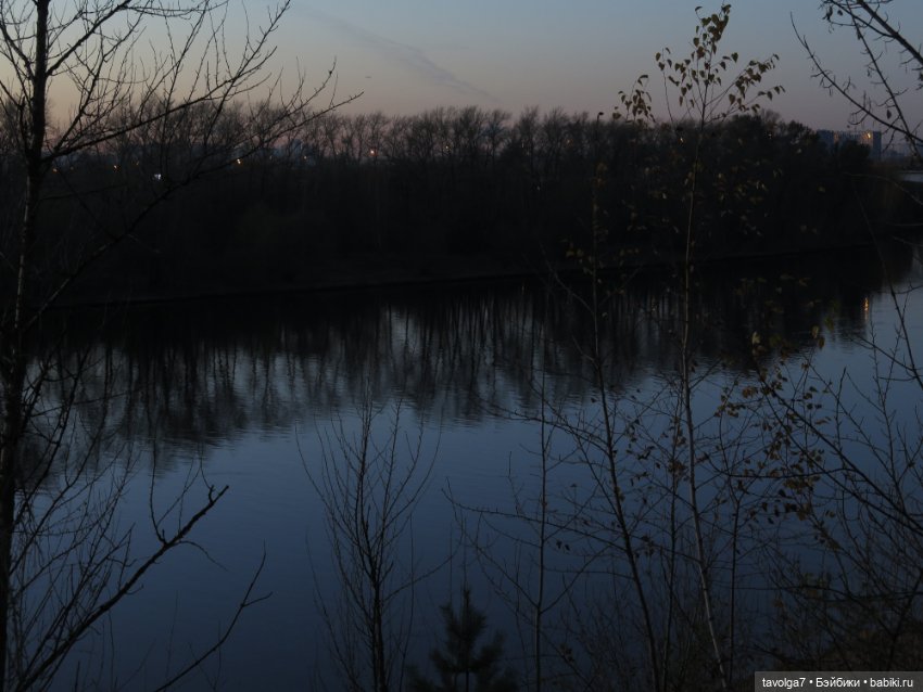 Флёр World of Love из моей коллекции и осень