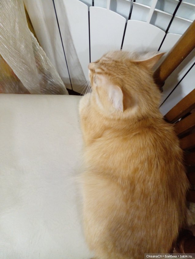 Улыбнись — Проба пера: рассказы (фото 2)